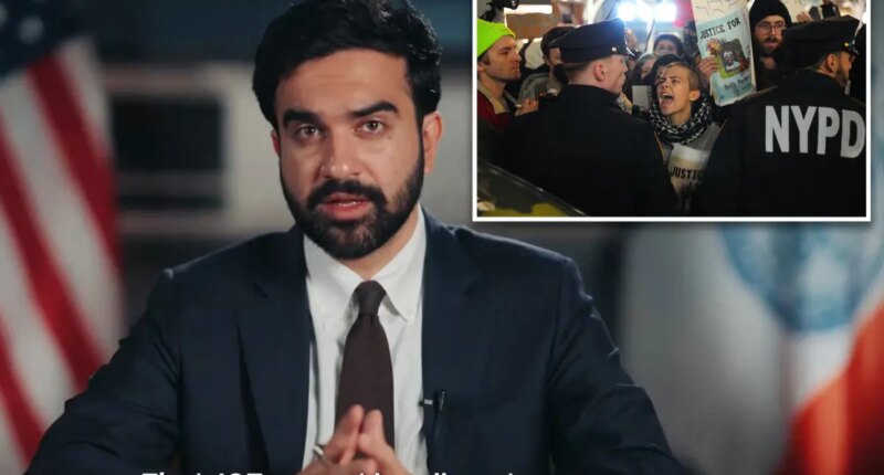 Mamdani accused of âopenly helping illegal aliens evade ICEâ in Spanish language videoÂ 
